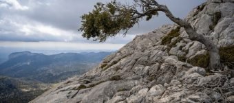 Aumente a resiliência de TI e de armazenamento